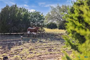 111 County Rd 253, Bertram, TX 78605 - Photo 35