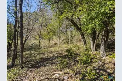 595 Dittlinger Street, New Braunfels, TX 78130 - Photo 7