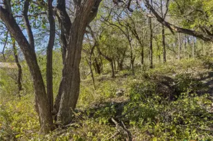 595 Dittlinger St, New Braunfels, TX 78130 - Photo 1