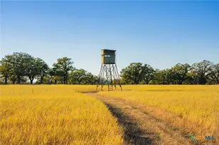 770 Sand Ln, Gordon, TX 76472 - Photo 11