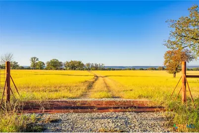 770 Sand Lane, Gordon, TX 76472 - Photo 19