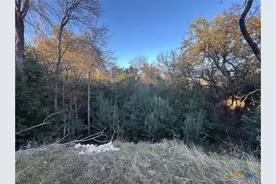 908 Carla Kay, Belton, TX 76513 - Photo 3