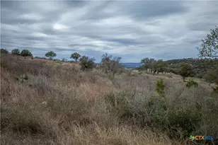 Lot 94 Hidden Cove, Kingsland, TX 78639 - Photo 31