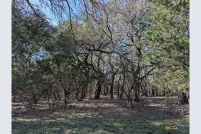 Tract 1 County Road 208, Lampasas, TX 76550 - Photo 13