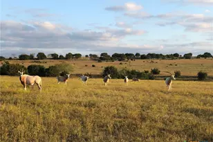 Tract 1 County Road 208, Lampasas, TX 76550 - Photo 3