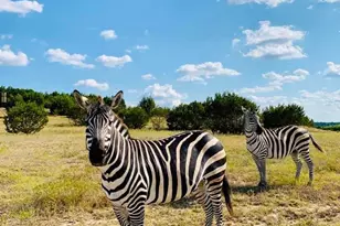 Tract 1 County Road 208, Lampasas, TX 76550 - Photo 7