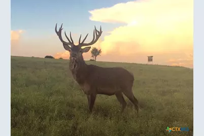 Tract 1 County Road 208, Lampasas, TX 76550 - Photo 1