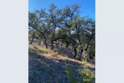 1178 Primrose Path, Canyon Lake, TX 78133 - Photo 9