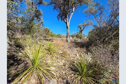 1178 Primrose Path, Canyon Lake, TX 78133 - Photo 31