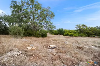 137 Red Tail Cove, Spring Branch, TX 78070 - Photo 3
