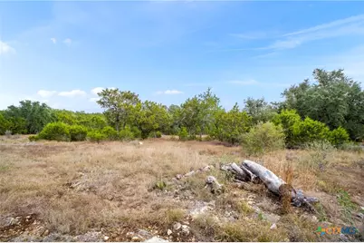 137 Red Tail Cove, Spring Branch, TX 78070 - Photo 7