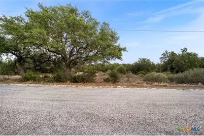 137 Red Tail Cove, Spring Branch, TX 78070 - Photo 5