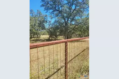 346 Ammann Road, Fair Oaks, TX 78015 - Photo 3