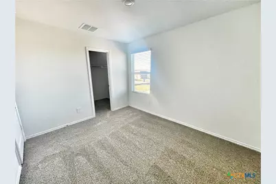 321 Cottonmouth Lane, Seguin, TX 78155 - Photo 9