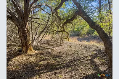 2095 Desiree Street, Canyon Lake, TX 78133 - Photo 11