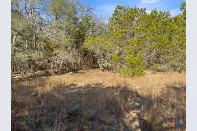 2095 Desiree Street, Canyon Lake, TX 78133 - Photo 15