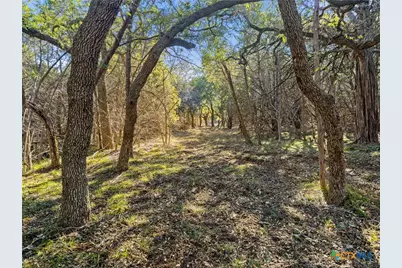 2095 Desiree Street, Canyon Lake, TX 78133 - Photo 3