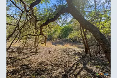 2095 Desiree Street, Canyon Lake, TX 78133 - Photo 9