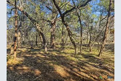 2095 Desiree Street, Canyon Lake, TX 78133 - Photo 5