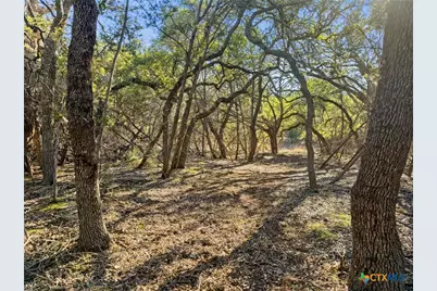 2095 Desiree Street, Canyon Lake, TX 78133 - Photo 7