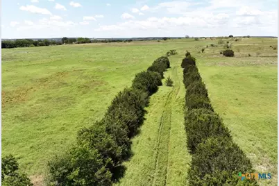 Tbd Old Pidcoke Rd, Gatesville, TX 76528 - Photo 15