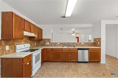 620 Waterleaf Boulevard, Kyle, TX 78640 - Photo 15