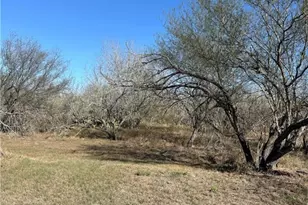 780 Fm 953, Cuero, TX 77954 - Photo 1