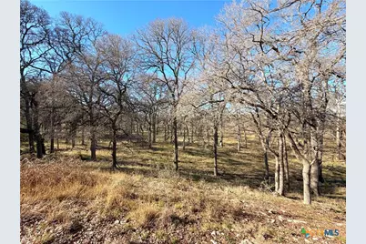 2162 Sierra Madre, Canyon Lake, TX 78133 - Photo 7
