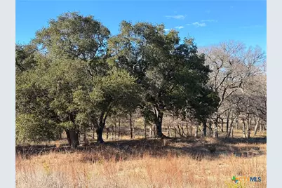 2162 Sierra Madre, Canyon Lake, TX 78133 - Photo 11