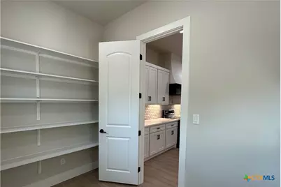 1229 Stallion Springs Drive, Fischer, TX 78623 - Photo 11