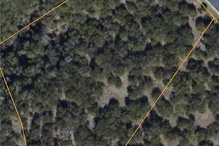 1231 Mystic Shores Blvd, Spring Branch, TX 78070 - Photo 1