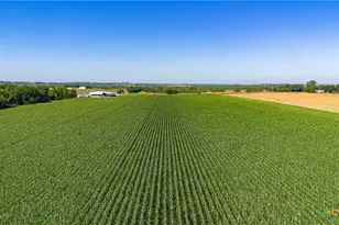 Tbd Fm-725, Mcqueeney, TX 78123 - Photo 21