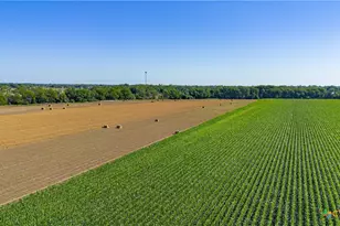 Tbd Fm-725, Mcqueeney, TX 78123 - Photo 25