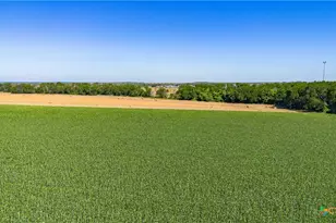 Tbd Fm-725, Mcqueeney, TX 78123 - Photo 23