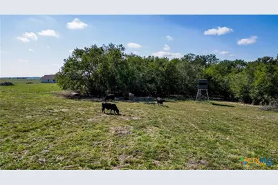 555 and 559 Bylerpool Road, Kingsbury, TX 78638 - Photo 7
