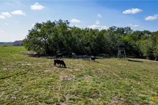 555 and 559 Bylerpool Rd, Kingsbury, TX 78638 - Photo 7