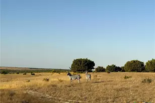 Tract 2 County Road 208, Lampasas, TX 76550 - Photo 3