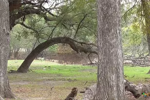 Tract 2 County Road 208, Lampasas, TX 76550 - Photo 27