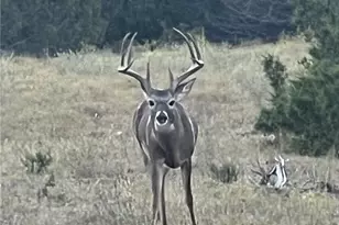 Tract 2 County Road 208, Lampasas, TX 76550 - Photo 29