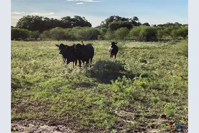 Tbd Fm 1447, Cuero, TX 77954 - Photo 41