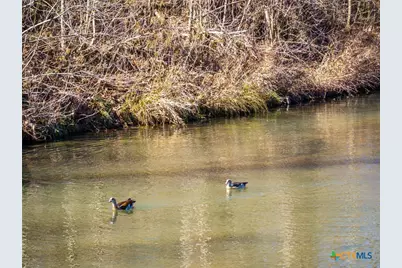 833 Bingham Lane, New Braunfels, TX 78132 - Photo 19