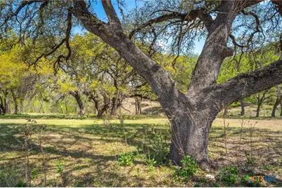 833 Bingham Lane, New Braunfels, TX 78132 - Photo 11