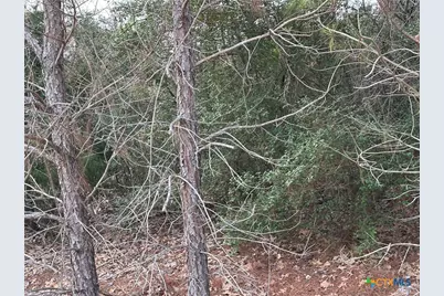 Tbd Pine Hill Loop, Bastrop, TX 78602 - Photo 3