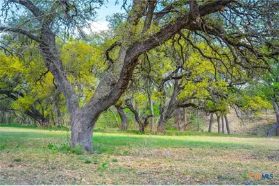837 Bingham Lane, New Braunfels, TX 78132 - Photo 7