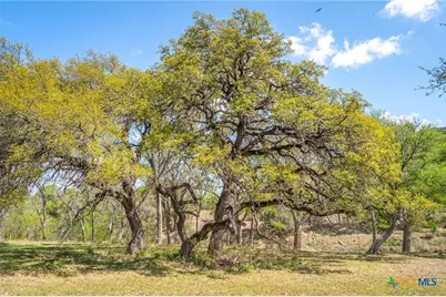 837 Bingham Lane, New Braunfels, TX 78132 - Photo 9