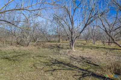 5225 Fm 2001, Buda, TX 78610 - Photo 41