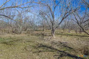 5225 FM2001, Buda, TX 78610 - Photo 41