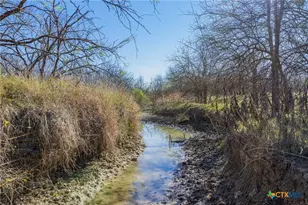 5225 FM2001, Buda, TX 78610 - Photo 39