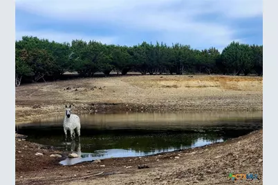 6101 County Road 208, Lampasas, TX 76550 - Photo 29
