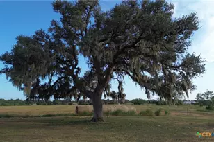 3382 E Fm 1961, Goliad, TX 77963 - Photo 17